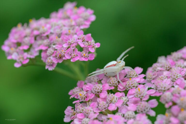 14072025-14072025-_DSC0322