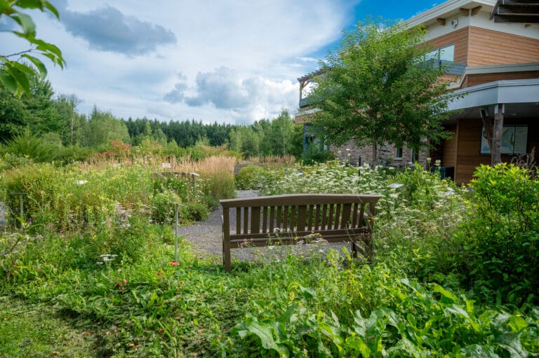 15082023-15août23_-12_jardin_banc