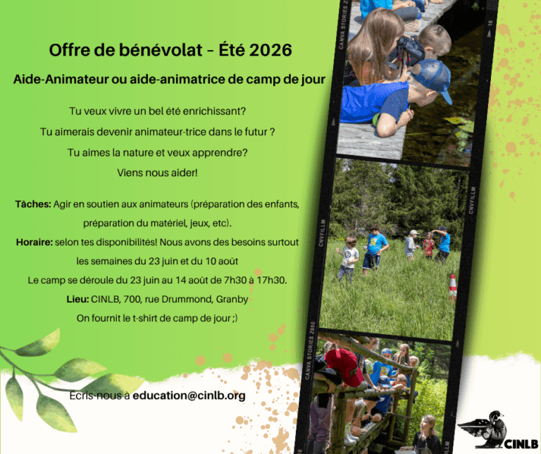 AIDE-ANIMATEUR 2026