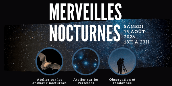 Bannière courriel - Merveilles nocturnes 2026