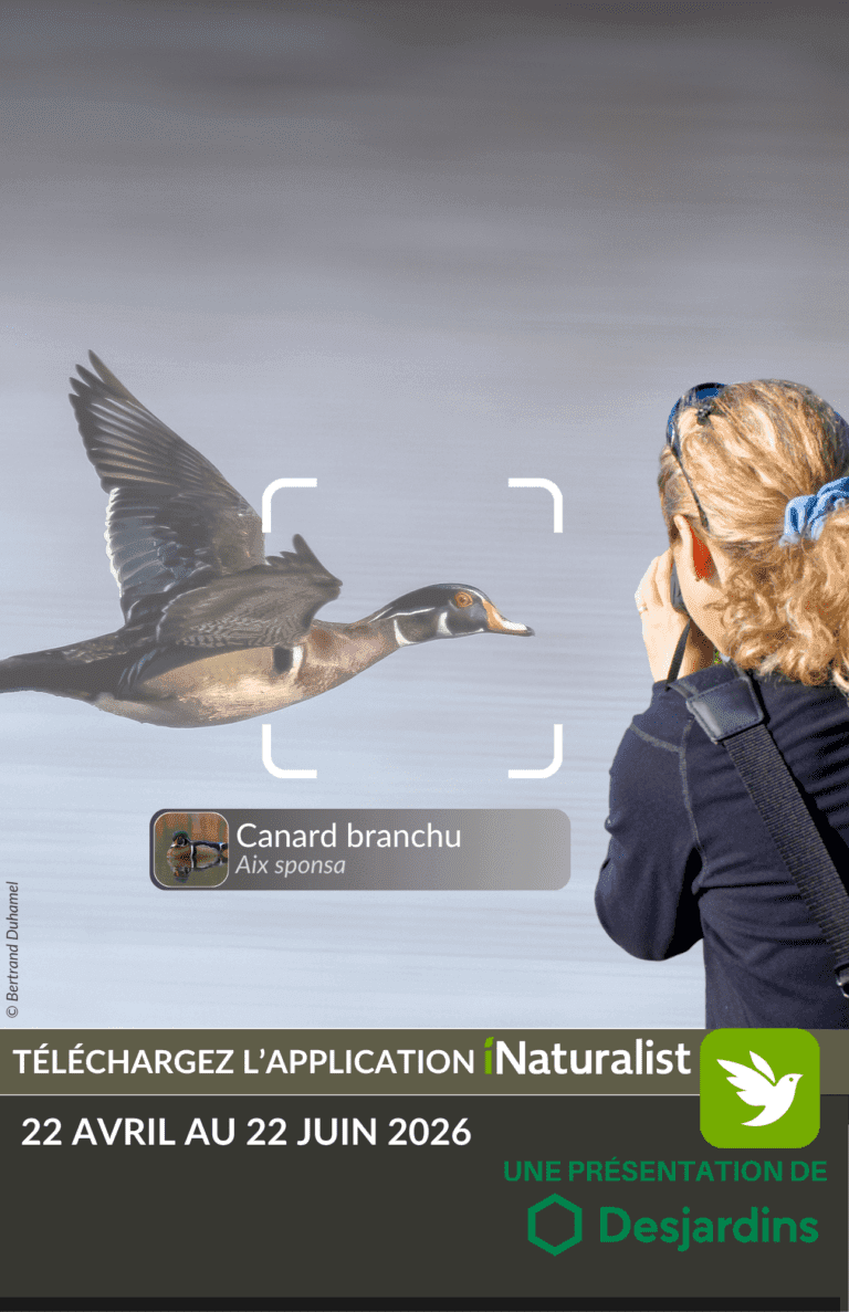 Bioblitz P26_article site web