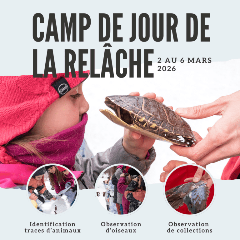 Copie de Facebook - Camp de jour de la relâche 2025