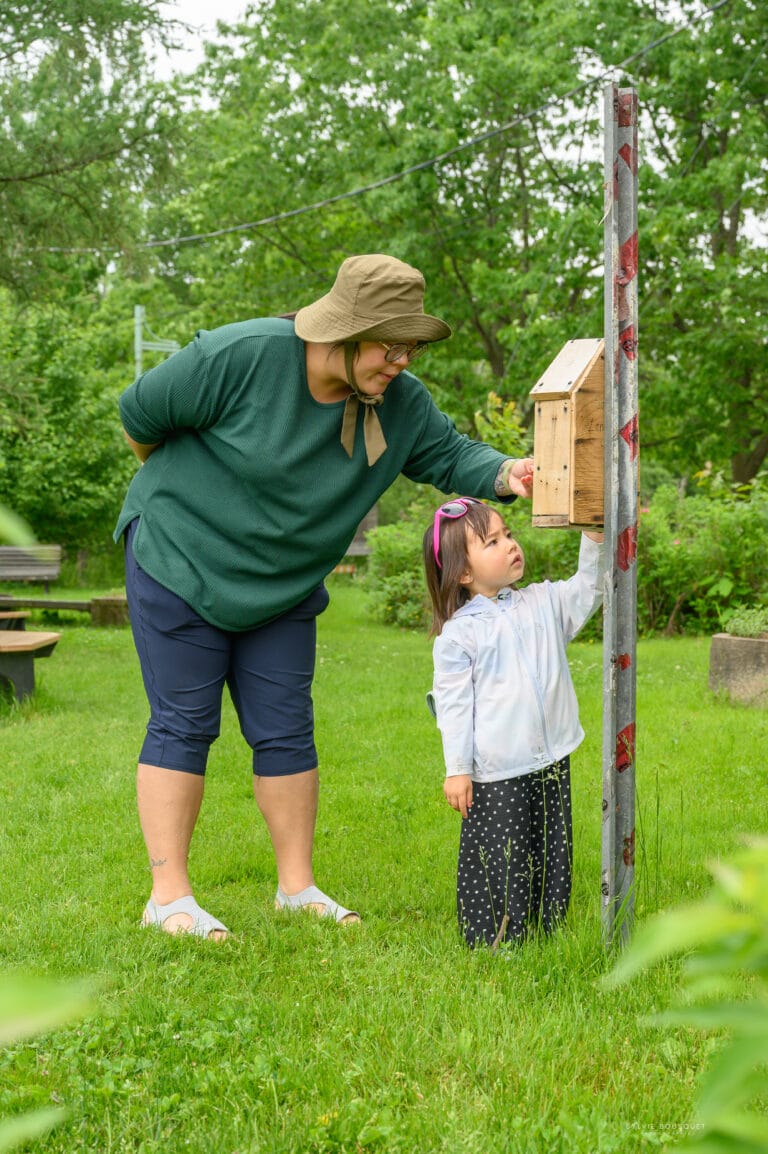 Maisonnette insectes CINLB