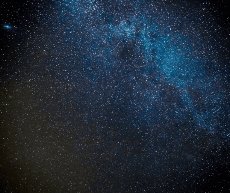 Merveilles noturnes 2025_site_web