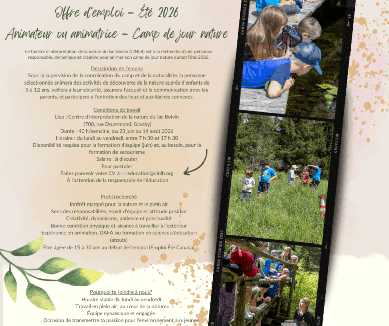 Offre d'emploi ete 2026