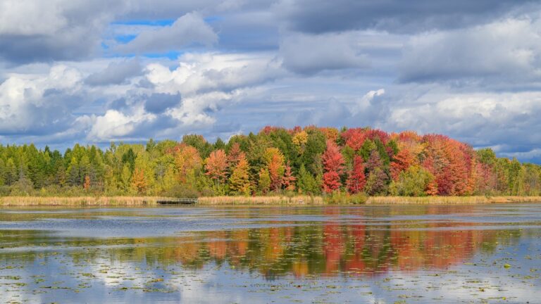 Paysage automne_maraisCINB 2024 (2)