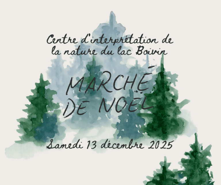 appel de candidatures - Marché de Noël 2025
